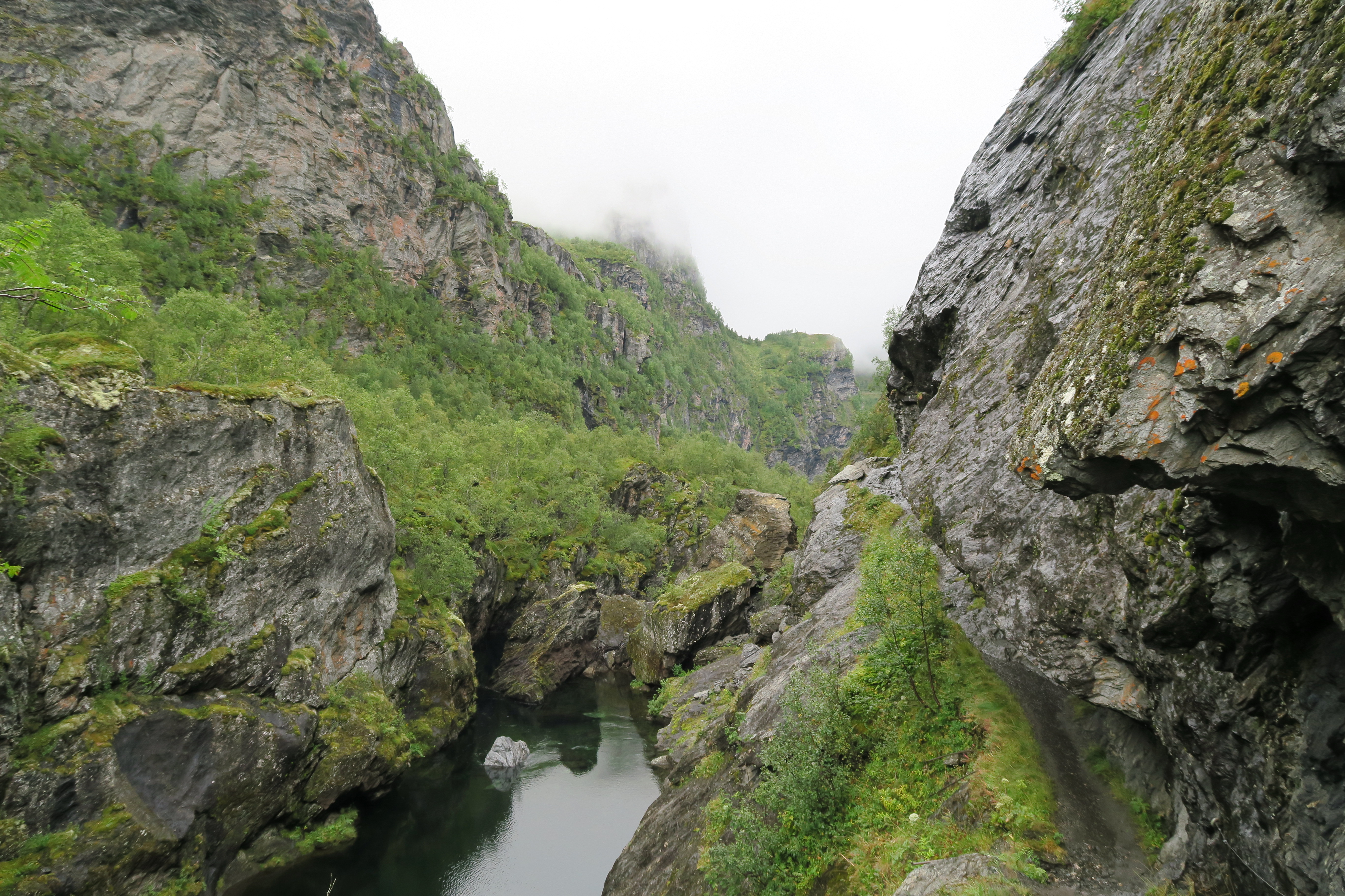 Walking through the valley